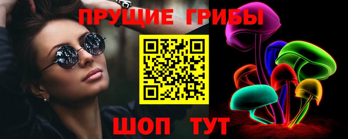 Псилоцибиновые грибы GOLDEN TEACHER  наркошоп  Черняховск  Вход с VPN 