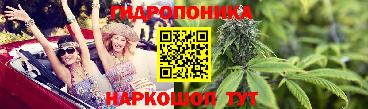 Шишки марихуана MAZAR  Вход с VPN  МАРИХУАНА VHQ  Черняховск  Шишки марихуана марихуана 